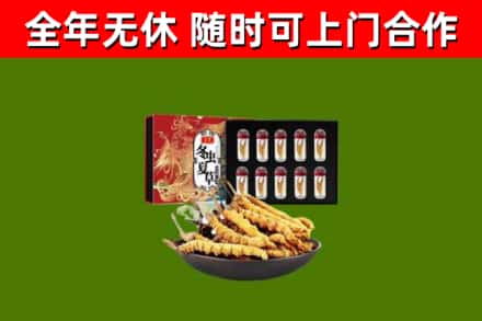 南浔回收冬虫夏草价格